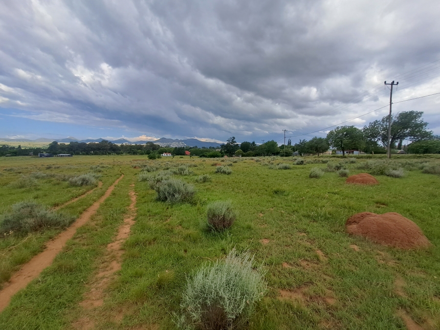 0 Bedroom Property for Sale in Rosendal Free State